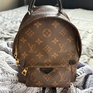 Louis Vuitton Palm Springs Mini Backpack